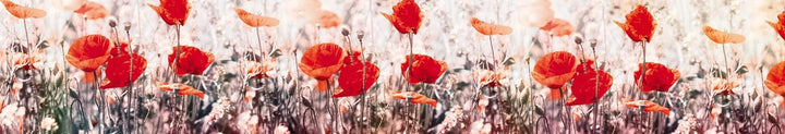 DIMEX Küchenrückwand Folie selbstklebend Mohnblumen | Klebefolie - Dekofolie - Spritzschutz für Küch
