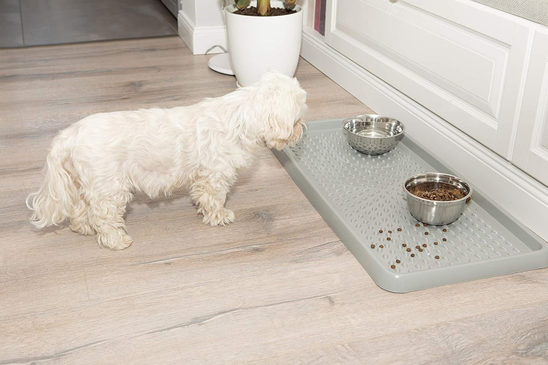 BranQ - Home essential BranQ Schuhablage aus Kunststoff, Creme, 78.5 x 38,5 x 3 cm (LxBxH) Creme 1-p