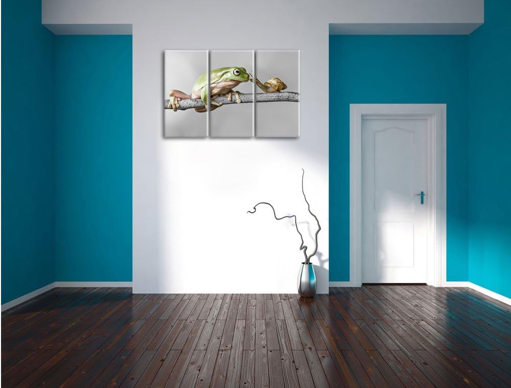 Pixxprint der Frosch und die Schnecke B&W Detail 3-Teiler Leinwandbild 120x80 Bild auf Leinwand