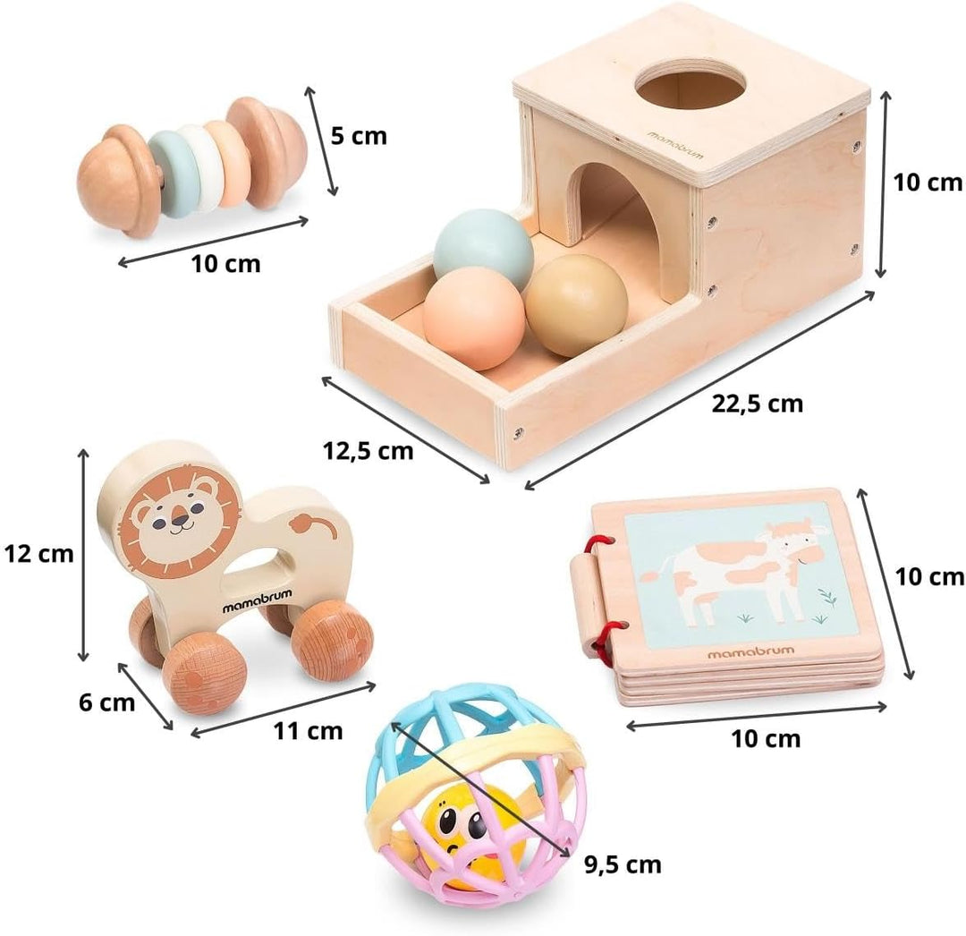 mamabrum MAM183 EDU Baby Spielzeug Set, 6 Montessori Sensorik Spielzeug für 7-12 Monate - Holz Lerns