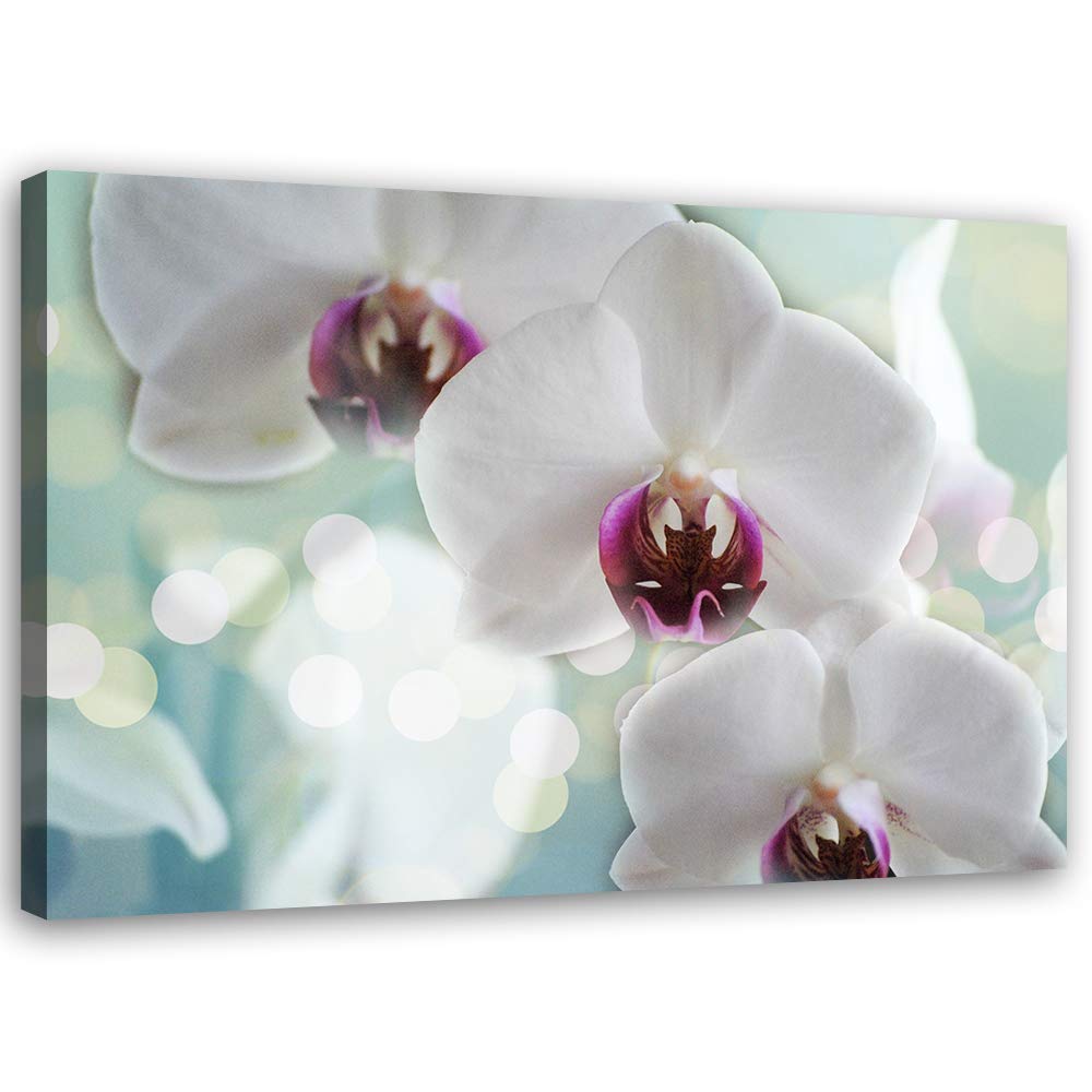 Feeby Bild auf Leinwand Natur Kunstdruck modern Orchideen Weiss 80x60 cm Leinwandbild 80x60 cm Weiss