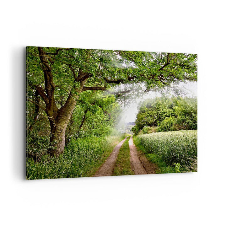 ARTTOR Bilder auf Leinwand 100x70cm Leinwandbild Pfad Natur Wald Grün Gross Wanddeko Bild Schlafzimm