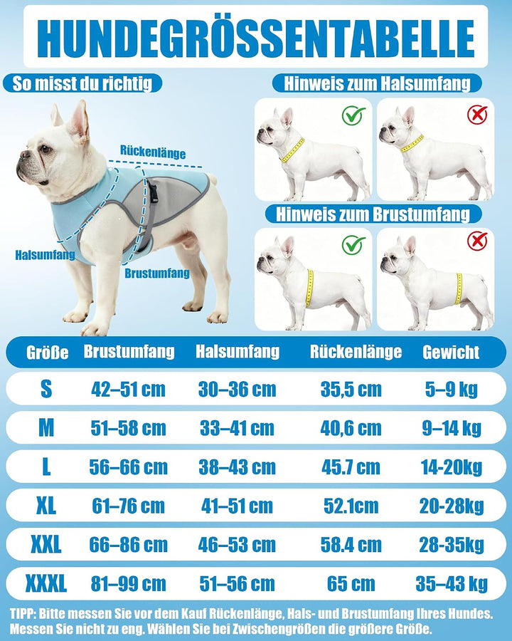 Kühlweste Hund mit 2 m Leine, Hunde Kühlweste für Kleine und Grosse Hunde, Reflektierende und Atmung