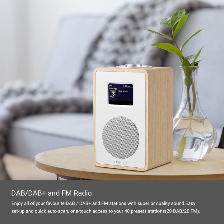 LEMEGA CR4 DAB/DAB+ und UKW Digitalradio,Bluetooth Lautsprecher, DAB Radio,Doppelwecker,Küchen/Schla