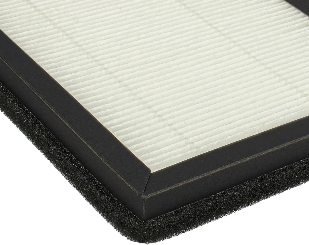 vhbw 2x Partikelfilter kompatibel mit Rowenta Eclipse QU5030, QU5072, QU5060, QU5062 Luftreiniger, L