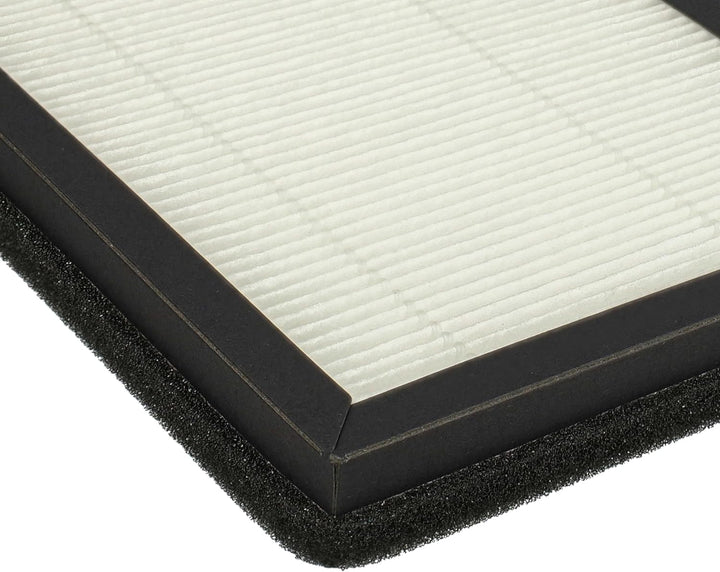 vhbw 2x Partikelfilter kompatibel mit Rowenta Eclipse QU5030, QU5072, QU5060, QU5062 Luftreiniger, L