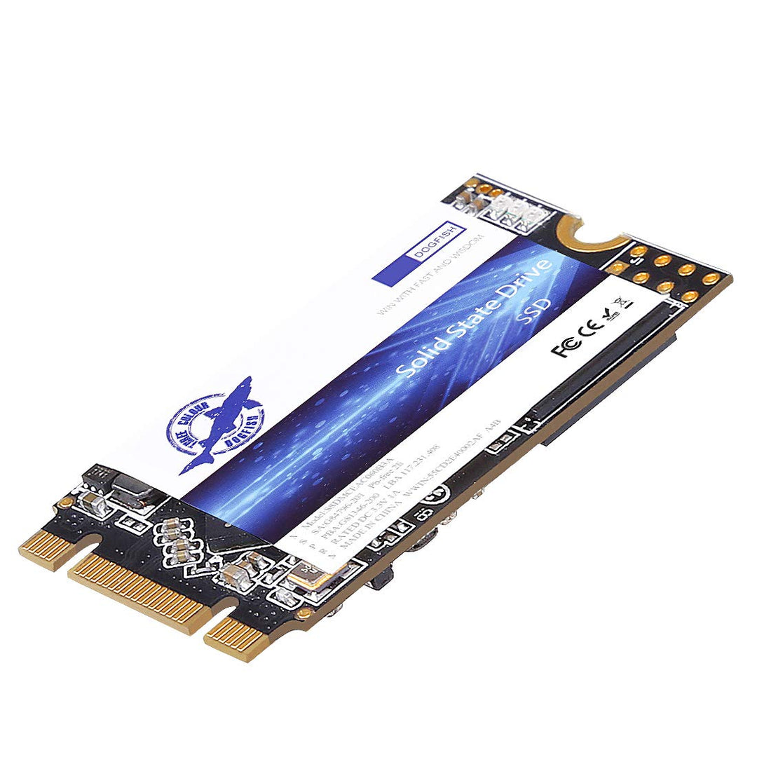 Dogfish SSD M.2 2242 250GB Solid State Drive Ngff Internen Desktop Computer 6Gb/s High Performance F