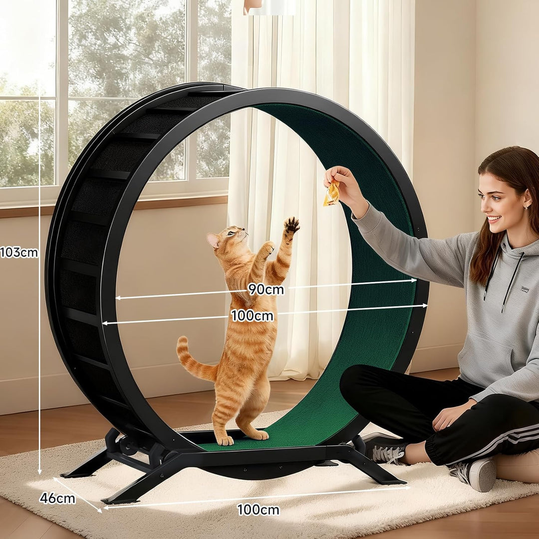 GTPLAYER Katzenlaufrad, laufrad Katze, Extra grosser 100 cm, ultraleises Laufrad mit Abnehmbarer Tep