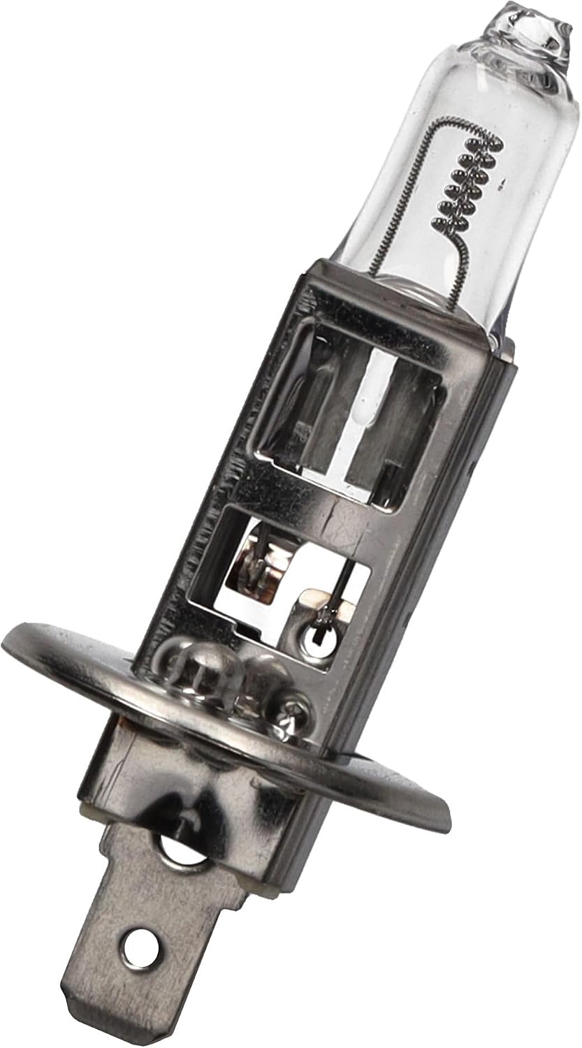 SAMETRUCK Glühlampe Glühbirne 12V 24V PKW LKW (24V H1 70W Glühlampe), 24V H1 70W Glühlampe