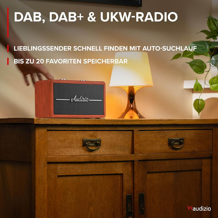 Audizio Tune60 - DAB Radio mit Bluetooth Lautsprecher, Fernbedienung, FM, 40 Watt, Batterie- Netzbet