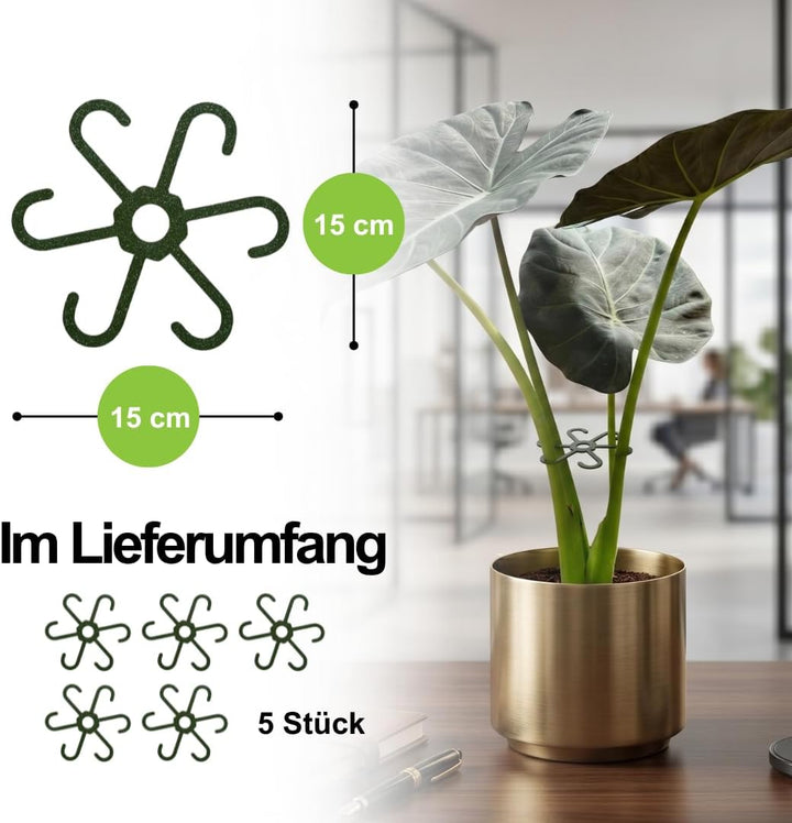 PLANTINITY - Pflanzenstütze Ring 15 cm Hero Light M - 5 Stück - Pflanzenhalter für Zimmerpflanzen -
