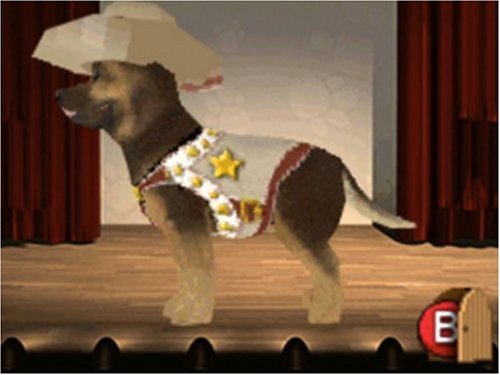 Best Friends - Hunde & Katzen [Software Pyramide]
