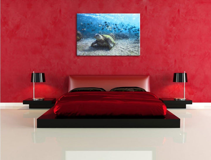 Pixxprint Schildkröten als Leinwandbild/Grösse: 100x70 cm/Wandbild/Kunstdruck/fertig bespannt, 100x7