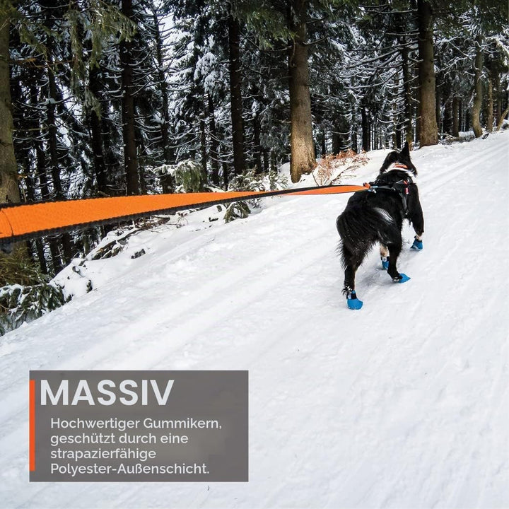 Non-stop dogwear Bungee Leash 2.0 | 2,8m | 1641 | bikejøring, Scootering, skijøring
