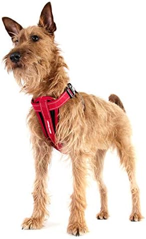 EzyDog Hundegeschirr Auto mit Sicherheitsgurt, Brustgeschirr Hund, Sicherheitsgeschirr Hund, 'Chest