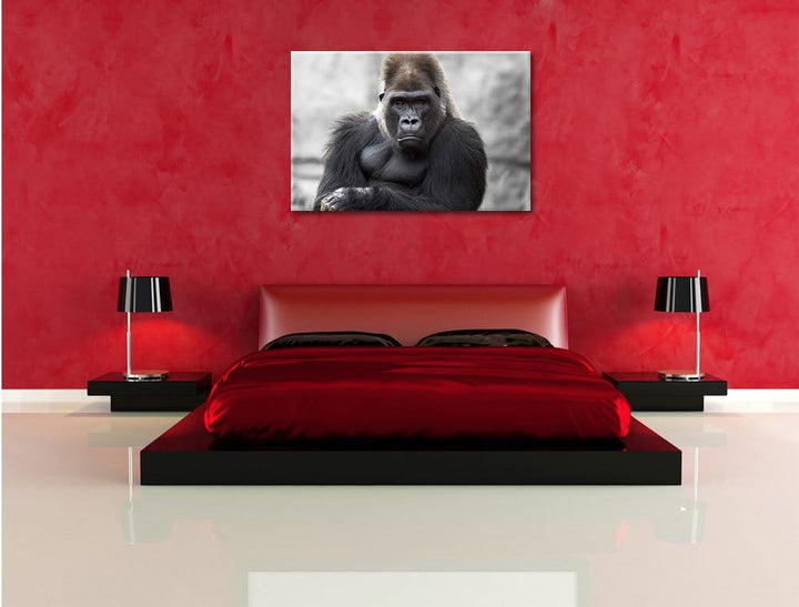 Pixxprint gelangweilter Gorilla als Leinwandbild/Grösse: 100x70 / Wandbild/Kunstdruck/fertig bespann