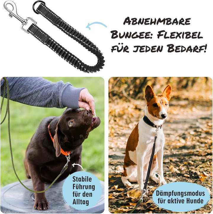 Aystkniet Bungee Schleppleine für Hunde 3M 5M 9M 10M 15M 20M 30M, Schockabsorbierende Hundeleine mit