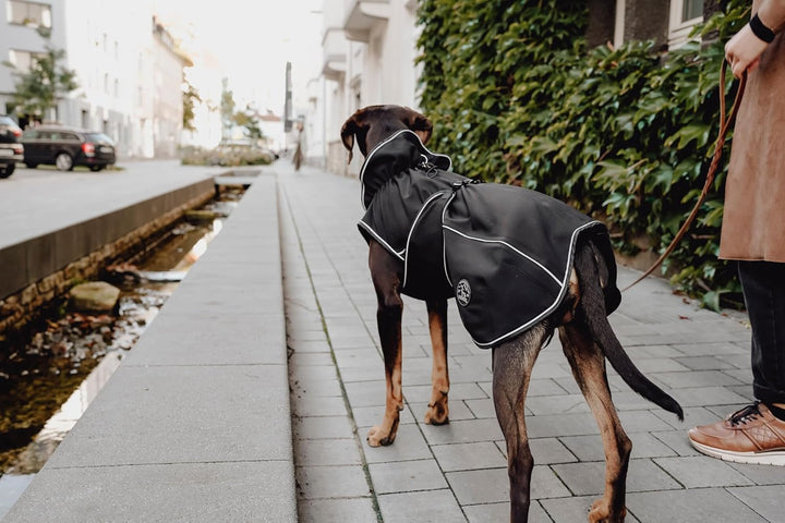 HUNTER UPPSALA SOFTSHELL Hundemantel, Funktionsmantel, 45, schwarz, 45