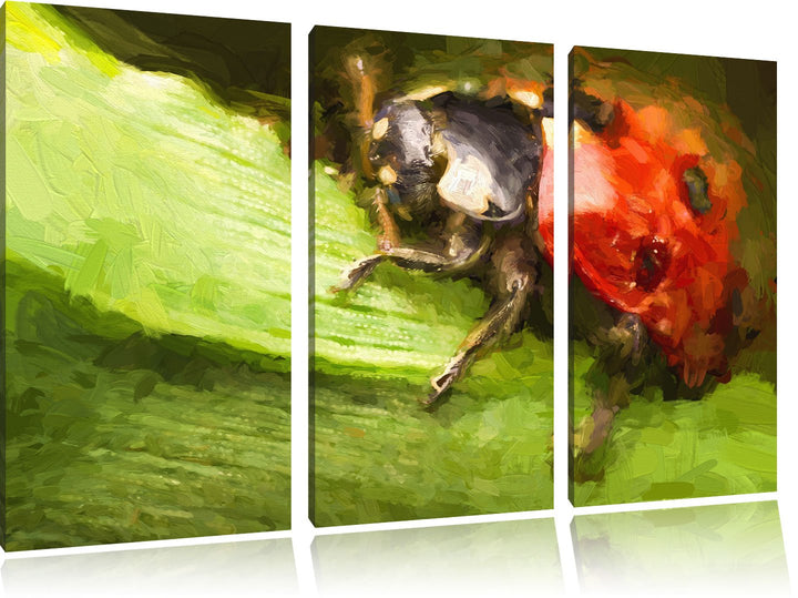 Pixxprint Marienkäfer in Detailaufnahme als Leinwandbild/Grösse: 3 Teilig (120x80) cm/Wandbild/Kunst