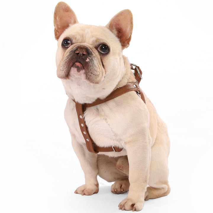 Hundegeschirr Leder Softgeschirr Verstellbare Brustgeschirre Norweger Haustier Ledergeschirr Weichem