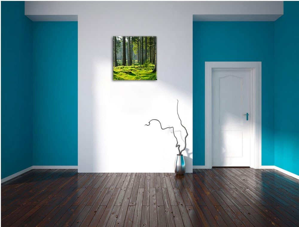 sonniger Tag im Wald, Format: 70x70 auf Leinwand, XXL riesige Bilder fertig gerahmt mit Keilrahmen,