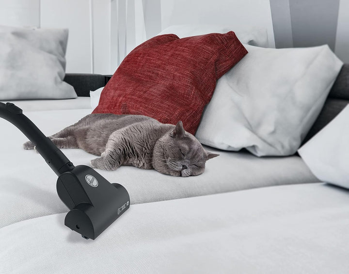 Hoover Staubsauger Tierhaare mit Beutel und Kabel BRAVE PET mit Tierhaar-Düse I Tierhaar-Staubsauger