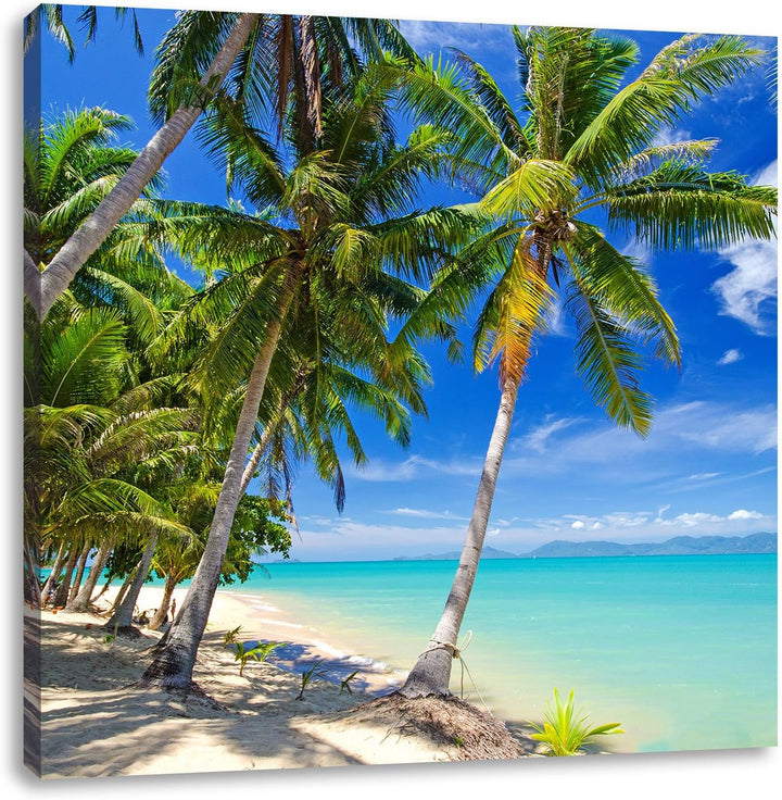 Palmen Traumstrand, Format: 70x70 auf Leinwand, XXL riesige Bilder fertig gerahmt mit Keilrahmen, Ku