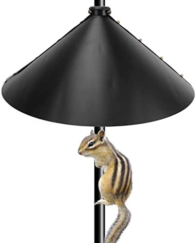 Eichhörnchen Schallwand 2 Stück Eichhörnchen Klappe universelle Eichhörnchen sichere Schallwand Voge