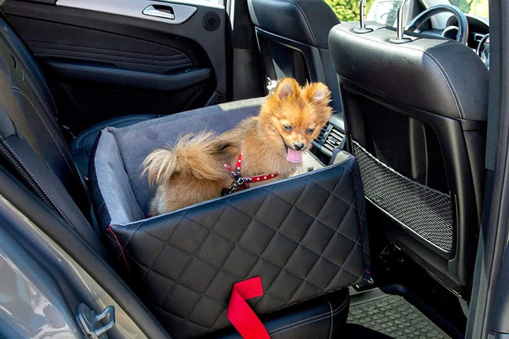 BOUTIQUE ZOO Exclusive Hunde Autositz | Autositz für Hunde, Katzen, Haustier | Rückbank, Beifahrersi