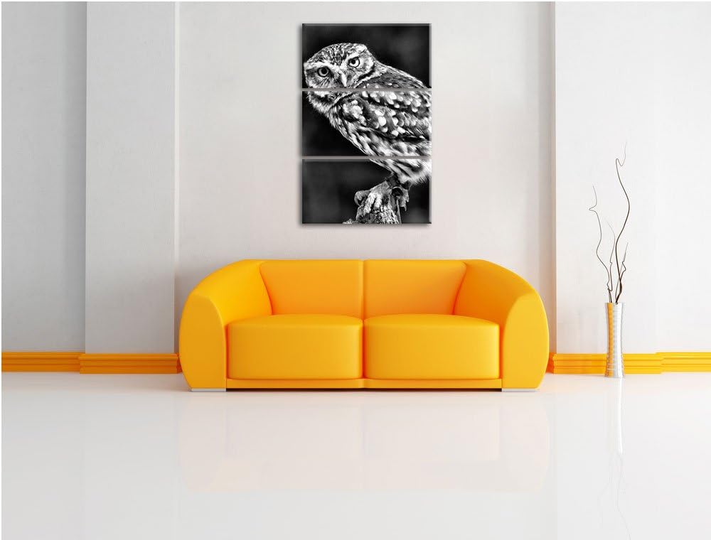 Pixxprint Eule auf AST als Leinwandbild/Grösse: 3 Teilig (120x80) cm/Wandbild/Kunstdruck/fertig besp