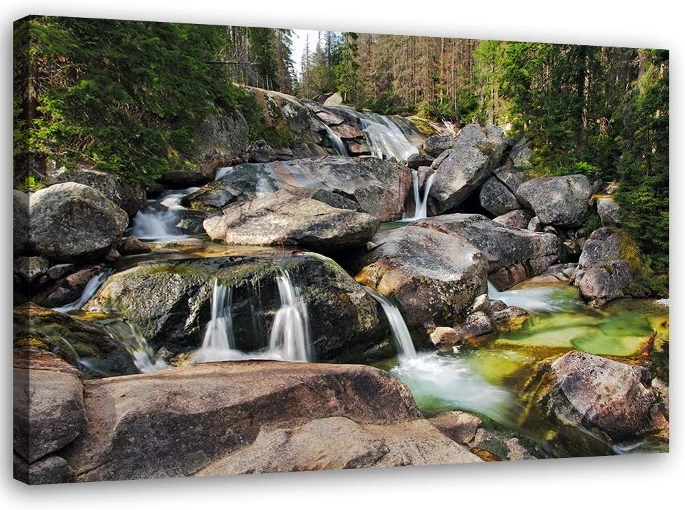 Feeby Wandbild Bach Druckbild Leinwandbild Natur Braun 100x70 cm