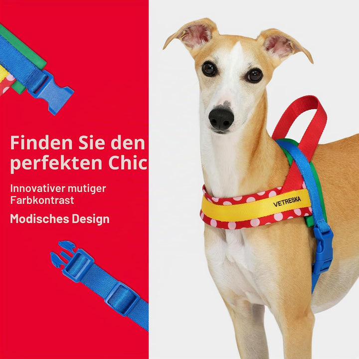 VETRESKA Hundegeschirr für kleine, mittelgrosse und grosse Hunde Kein Ziehen, Welpengeschirr und Lei