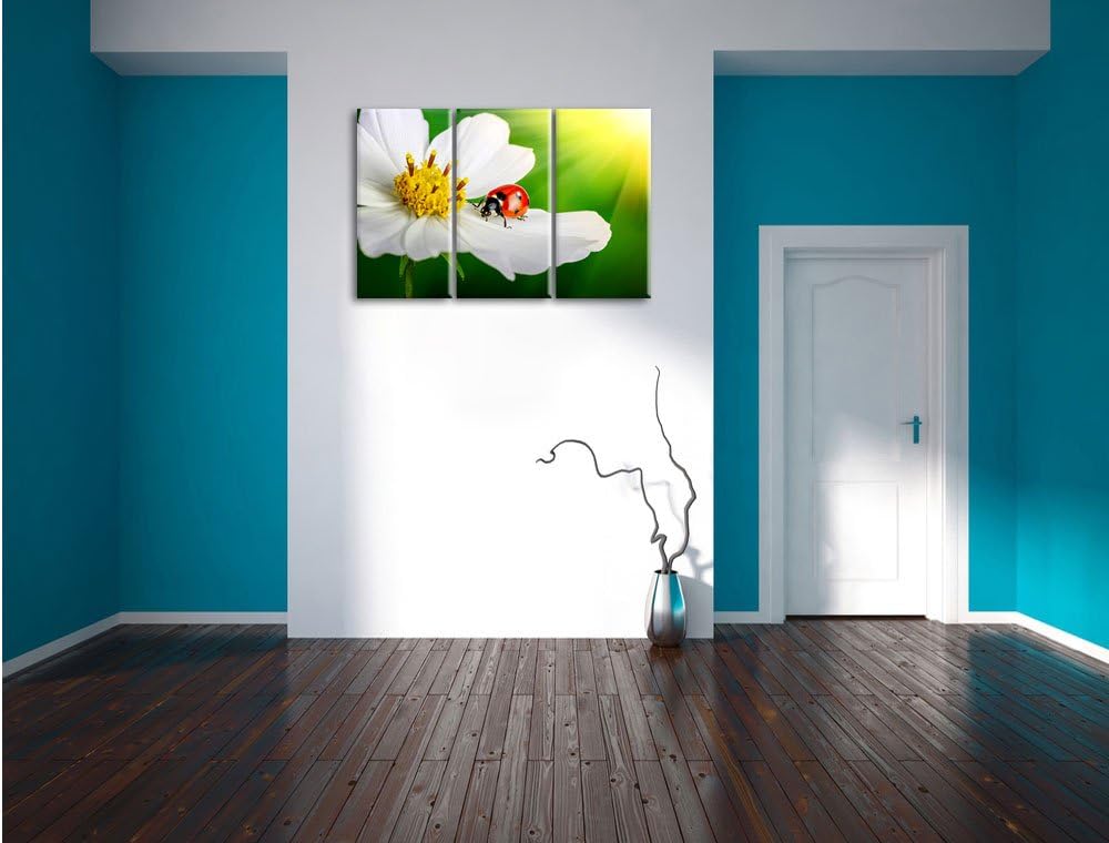 Pixxprint Marienkäfer auf Einer weissen Blume als Leinwandbild/Grösse: 3 Teilig (120x80) / Wandbild/