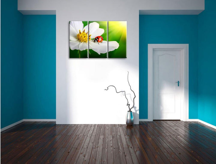 Pixxprint Marienkäfer auf Einer weissen Blume als Leinwandbild/Grösse: 3 Teilig (120x80) / Wandbild/