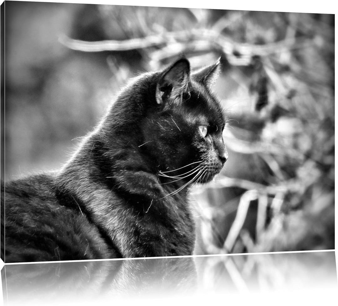 Monocrome, schwarze Katze, Format: 100x70 auf Leinwand, XXL riesige Bilder fertig gerahmt mit Keilra