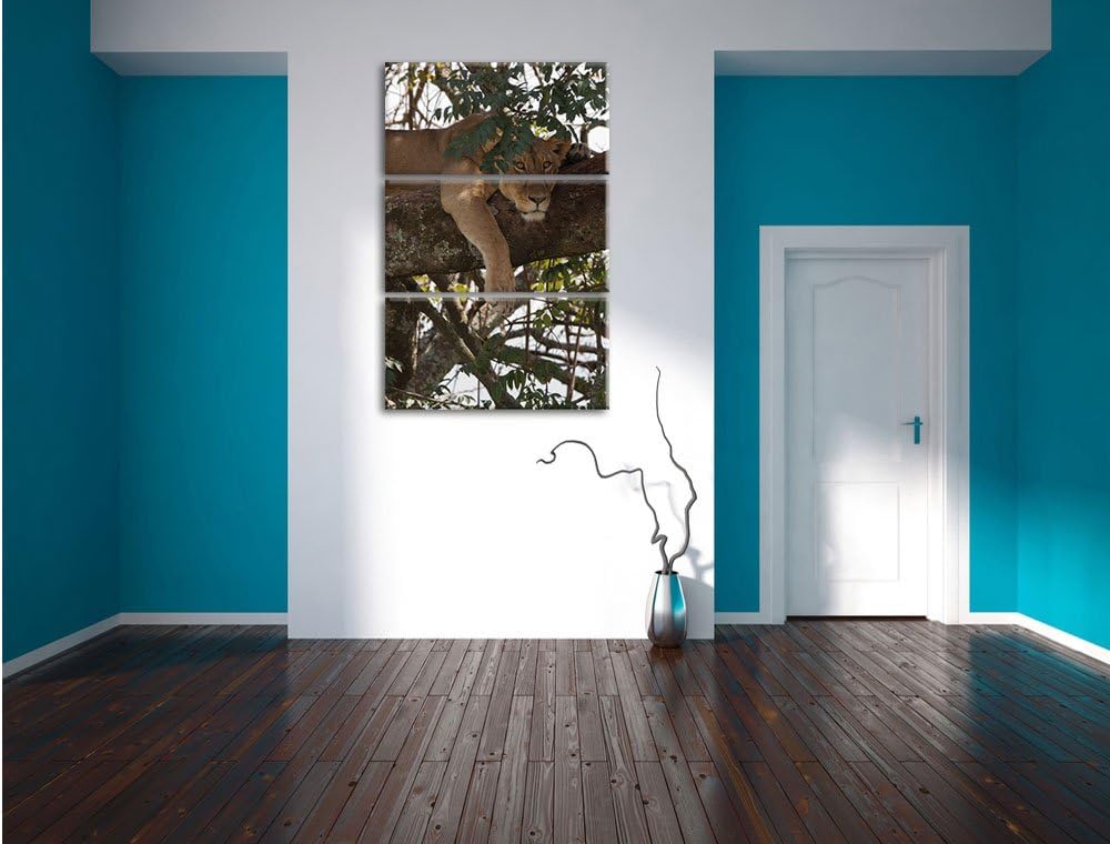 Pixxprint schönes Löwenweibchen schläft auf Baum 3-Teiler Leinwandbild 120x80 Bild auf Leinwand