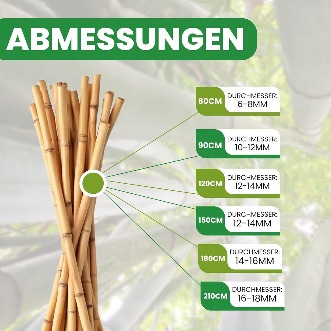 PLANTAWA Bambusstäbe 90 cm Packung mit 25 Stück Ø 10-12 mm | Pflanzstab Bambusstab Gemüse, Tomaten u