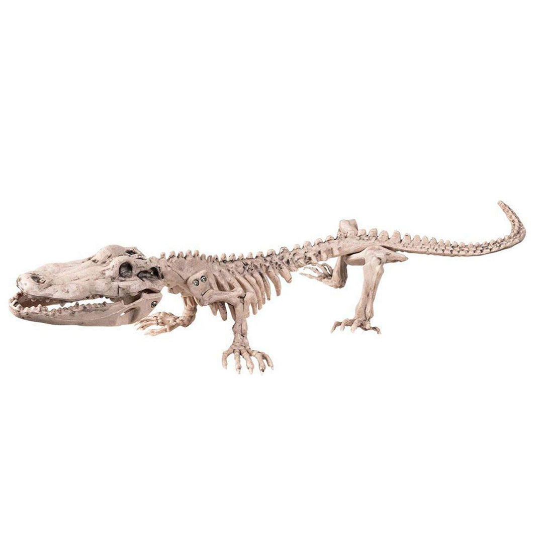 Boland 72259 - Krokodil-Skelett, Grösse 16 x 50 cm, aus Kunststoff, Alligator, Knochen, Dekoration,