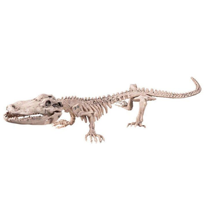 Boland 72259 - Krokodil-Skelett, Grösse 16 x 50 cm, aus Kunststoff, Alligator, Knochen, Dekoration,