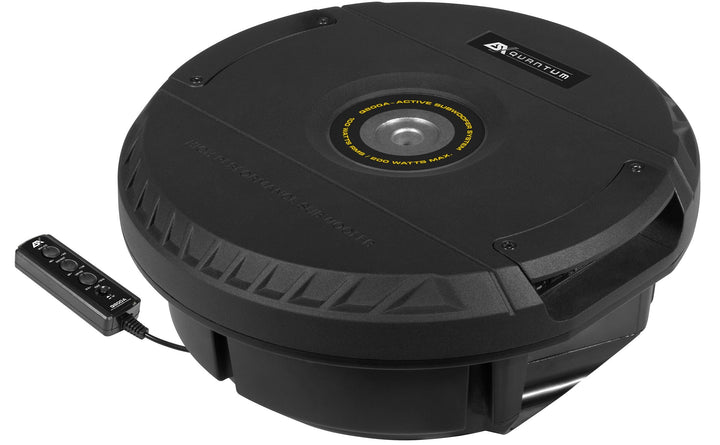ESX Q800A - 20 cm (8&