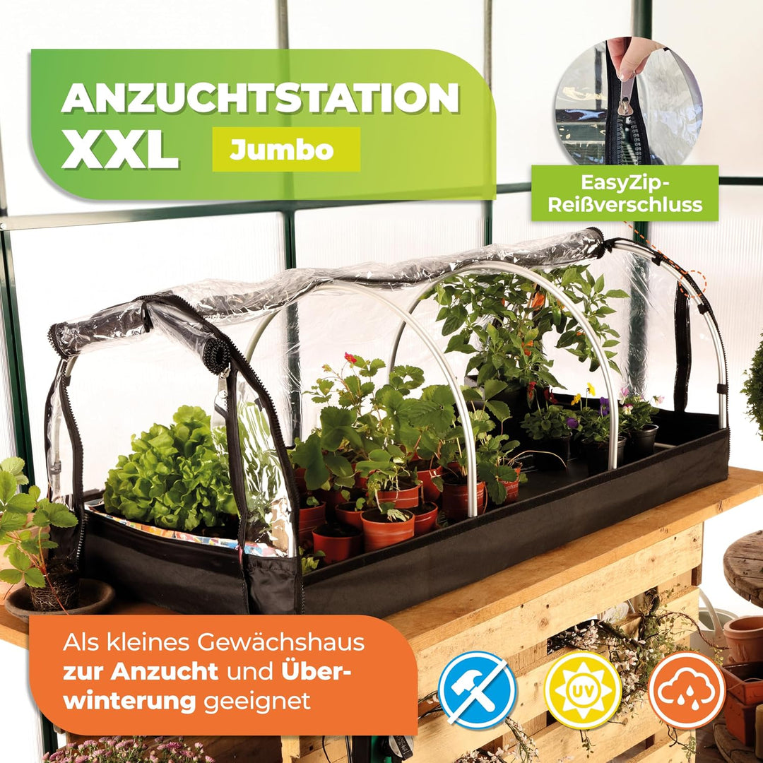 Bio Green XXL Zimmergewächshaus Jumbo | Robustes Aluminium-Rahmengestell | Anzuchtkasten L 130 x B 6