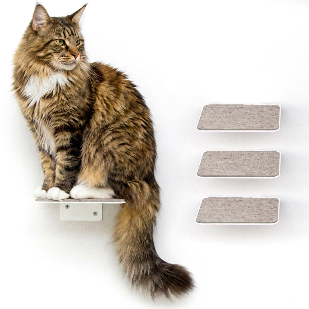 LucyBalu® Steps XL Katzentreppe Wand Innen & Aussen 3er Set | Katzen Kletterwand | Wandpark für Katz