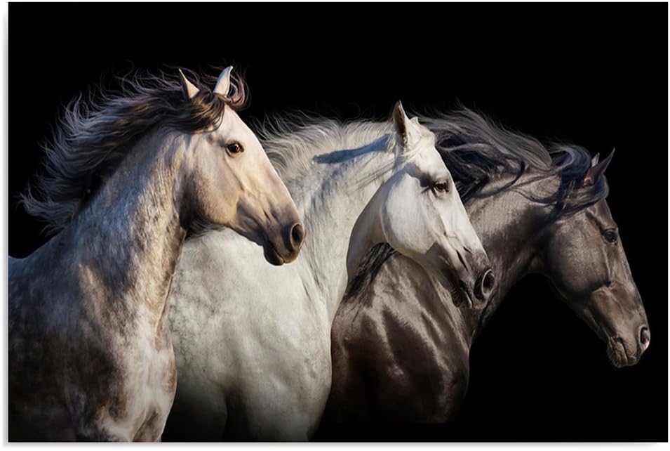 Feeby Frames, Leinwandbild, Bilder, Wand Bild, Wandbilder, Kunstdruck 70x100cm, PFERDE, TIERE, NATUR