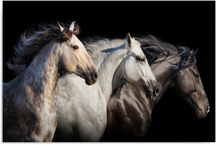 Feeby Frames, Leinwandbild, Bilder, Wand Bild, Wandbilder, Kunstdruck 70x100cm, PFERDE, TIERE, NATUR