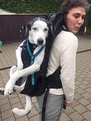 Patentierter PREMIUM XXL Leg free Hunderucksack - Hundetrage Hundetasche Rucksack für Hunde von 15-2