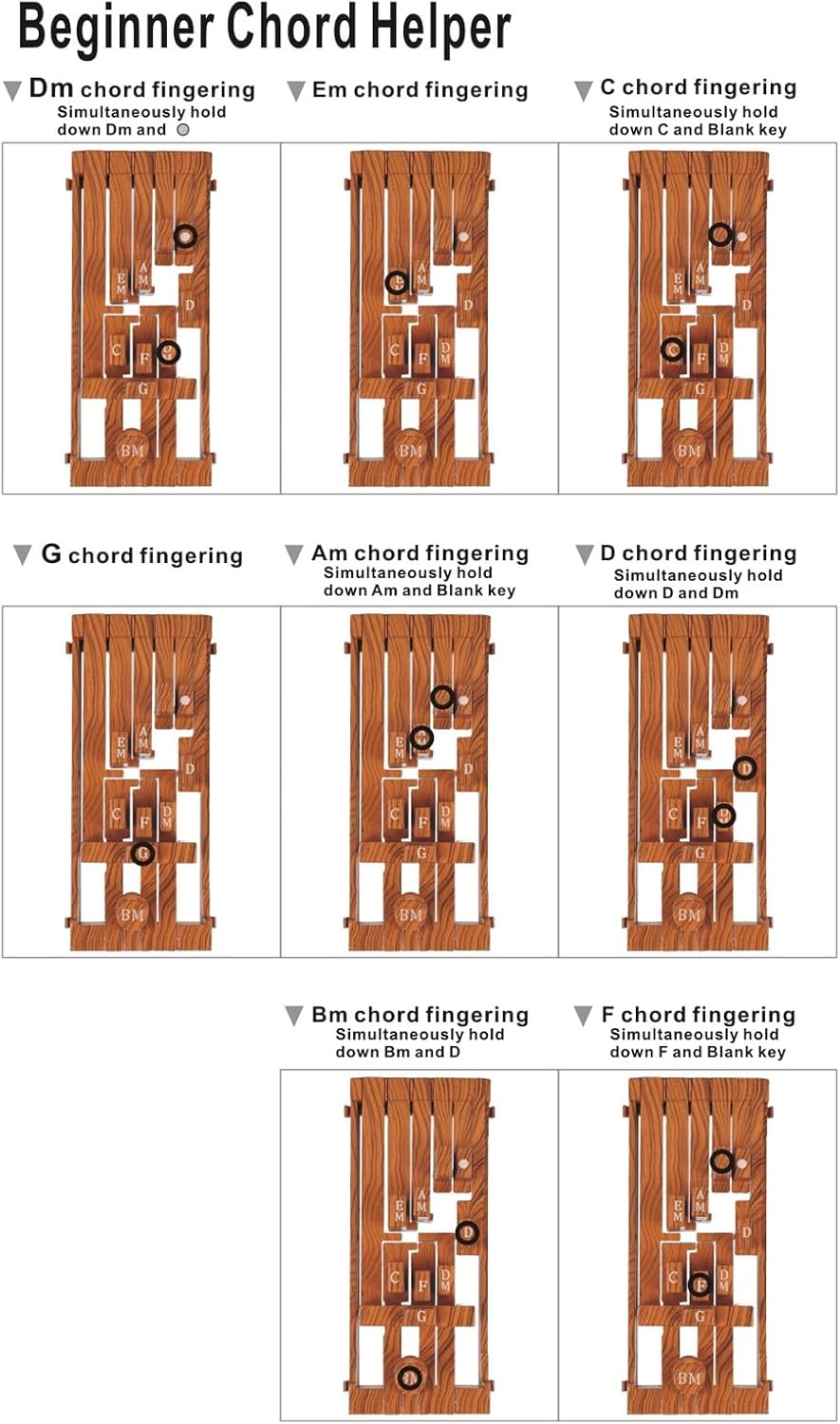 Gitarren-Akkordpresser, 10-Akkord-Presser, Gitarrenhilfe-Akkordwerkzeug mit 10 Gummibändern, Gitarre