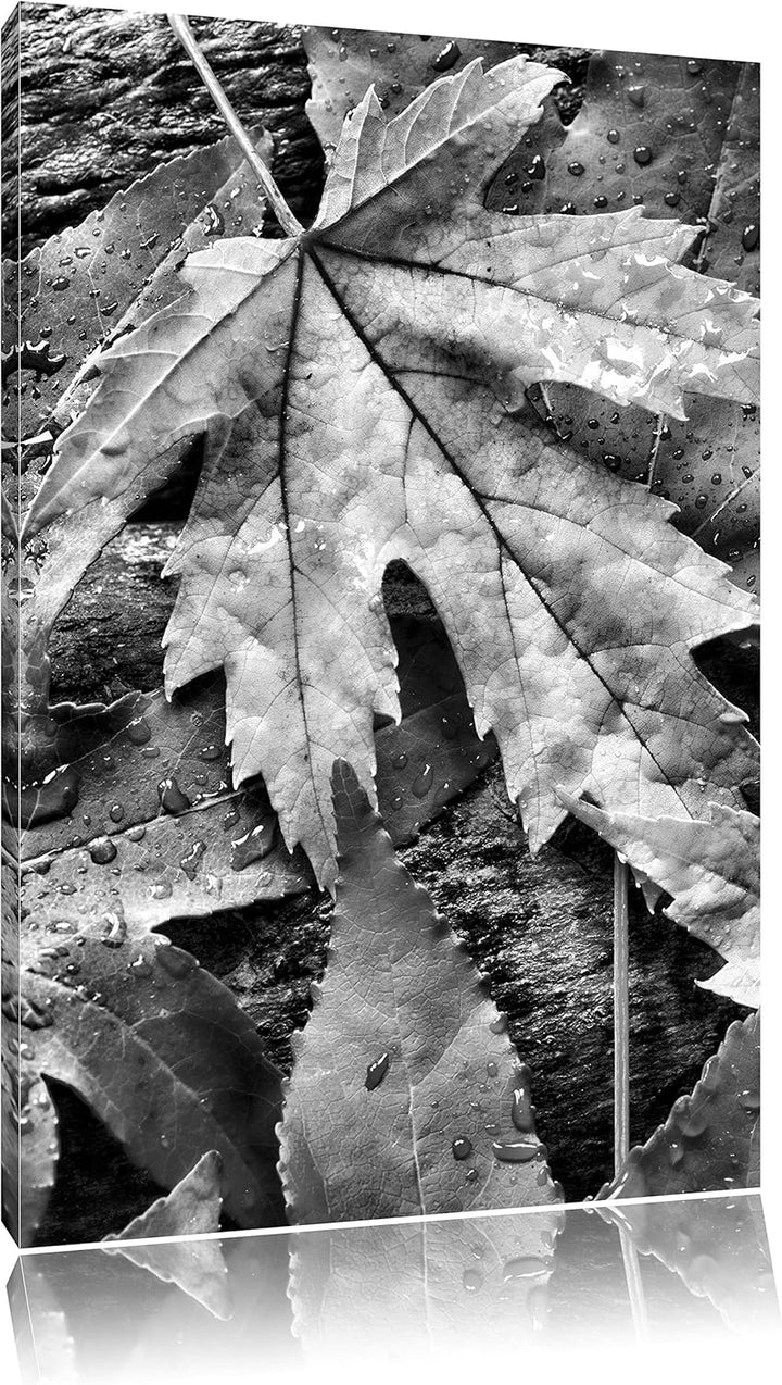 Pixxprint Monocrome, Bunte Herbstblätter, Format: 100x70 auf Leinwand, 100x70