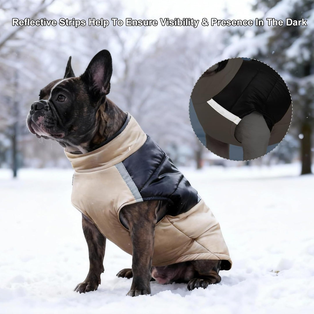 Hundejacke für Kleine Mittelgrosse Hunde, Winter Warmer Hundemantel mit Double-D-Ring, Welpen Hunde