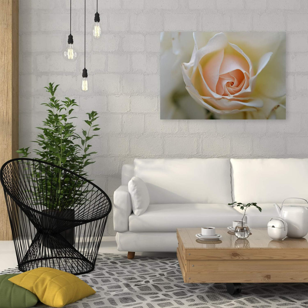 Feeby Leinwandbild Blume Bild Kunstdruck Natur Beige 70x50 cm M14564 70x50 cm, M14564 70x50 cm