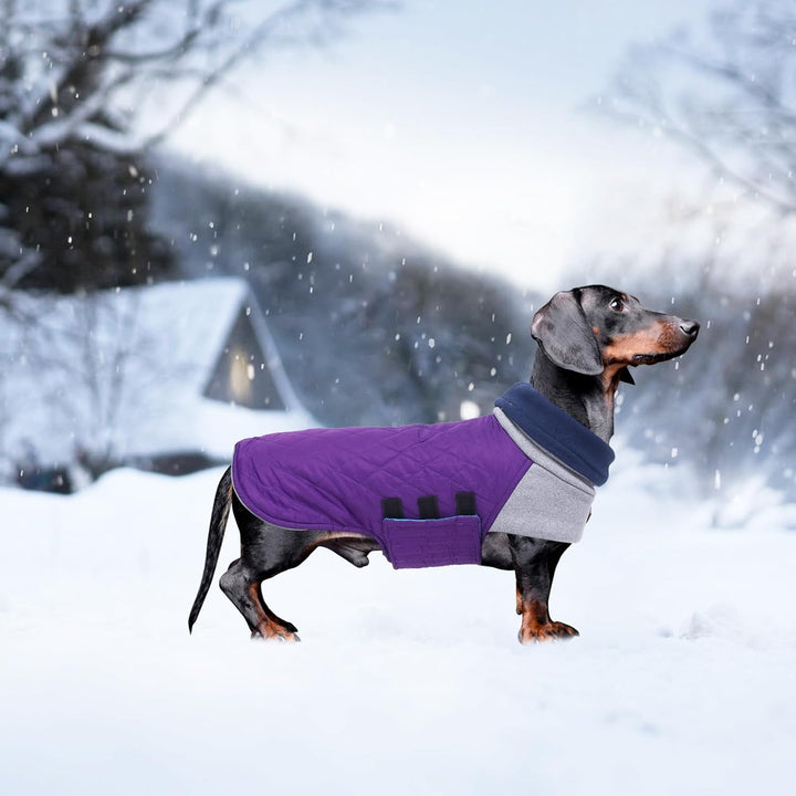 Geyecete Hundemantel Dackel, Dackel Wintermantel, Warmer Quilten Dackelmantel mit Geschirr Loch,Wind